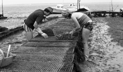 Ostricoltore in Vandea, agosto 1974 da Unbekannt