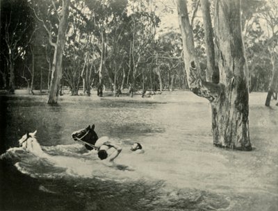 Un banchiere, 1901 da Unbekannt