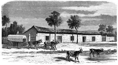 Una fattoria boera, Sudafrica, c1890 da Unbekannt