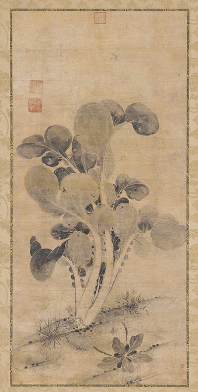 Una Pianta di Cavolo, tarda dinastia Yuan o inizio dinastia Ming, XIV-XV secolo da Unbekannt