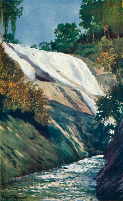 Una cascata a Tijuca, Rio, 1914 da Unbekannt