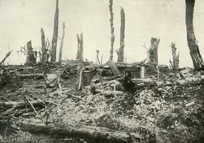Un rifugio in quello che una volta era un bosco silvano, 1919 da Unbekannt