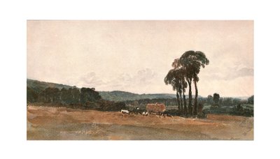 Una scena di raccolto - uno schizzo all