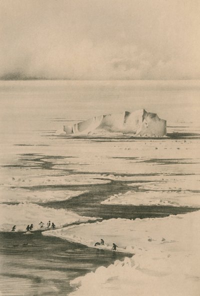 Un leader nel branco, c1910-1913, 1913 da Unbekannt