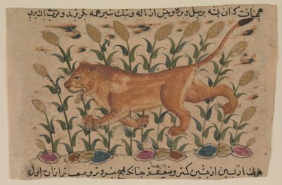 Un Leone, Folio da un Nuzhatnama-i ‘Ala’i Disperso da Unbekannt
