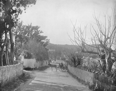 Una strada a Port Royal, Bermuda, XIX secolo da Unbekannt