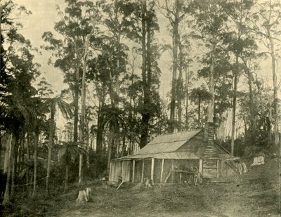 Una dimora rustica, 1901 da Unbekannt