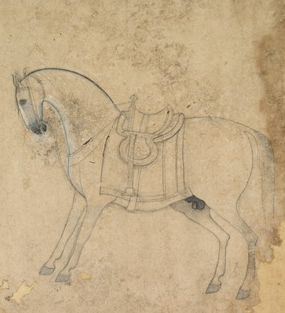 Un cavallo sellato, c. 1750 da Unbekannt