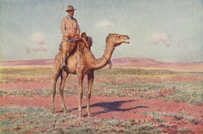 Una scena nell