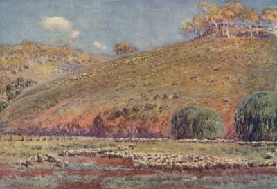 Un pascolo di pecore, 1923 da Unbekannt