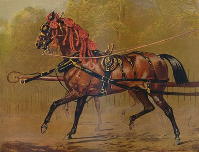 Un cavallo da carrozza di stato, c1879 da Unbekannt