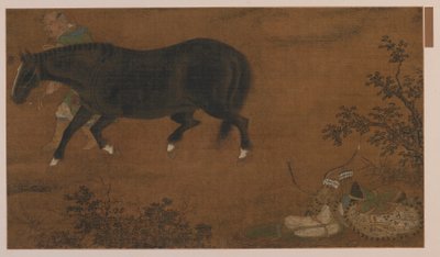 Un tartaro, il suo cavallo e l