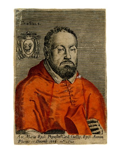 Un cardinale da Unbekannt