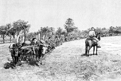 Un convoglio di carri, Sud America, 1895 da Unbekannt