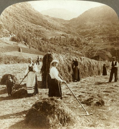 Una famiglia di contadini che fa il fieno in un campo soleggiato tra le montagne, Roldal, Norvegia, c1905 da Unbekannt