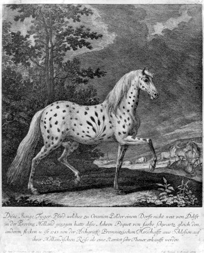 Un fenomeno di colore, Germania, 1722 1938 da Unbekannt