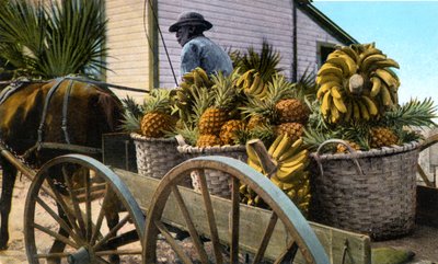 Un commerciante di frutta, Isola di Taboga, Panama, inizio XX secolo da Unbekannt