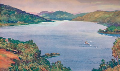 Uno scorcio del grande lago artificiale a Riberao das Lages da Unbekannt