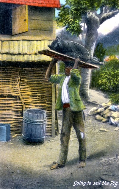 Un uomo in viaggio verso il mercato per vendere un maiale, Giamaica, c1900s da Unbekannt