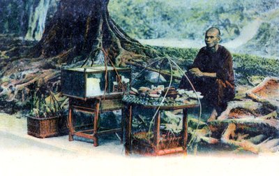 Un uomo che vende frutta sotto un albero, Hong Kong, Cina, c1900 da Unbekannt