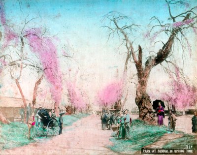 Un parco in primavera, Sendai, Prefettura di Miyagi, Giappone da Unbekannt