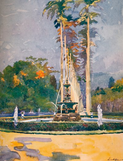 Una parte del Viale delle Palme Reali, Giardini Botanici da Unbekannt