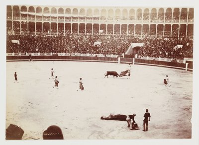 Fotografia di una corrida davanti a una grande folla nell