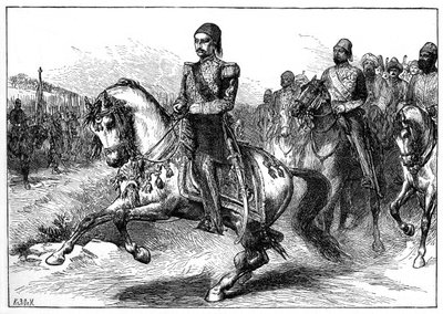 Abdul Hamid II, Sultano dell
