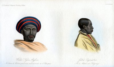 Ritratti abissini, 1848 da Unbekannt