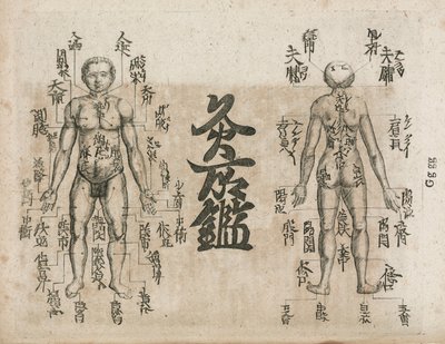 Mappa del corpo umano per l