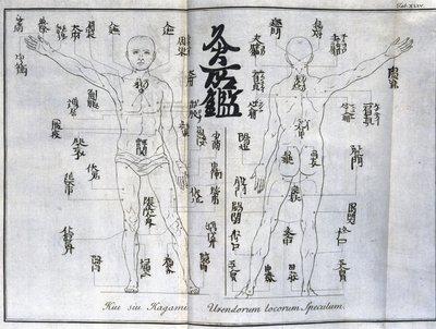 Agopuntura: carta del corpo umano che indica i punti di moxibustione, Giappone (carta relativa alla moxa, c.1690) da Unbekannt