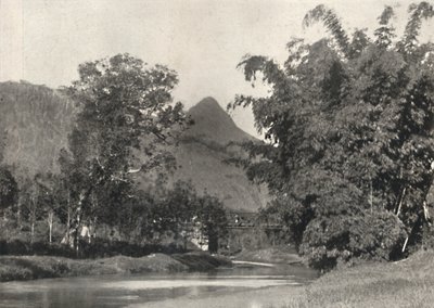 Adamspik von Gegend Maskeliya, 1926 da Unbekannt