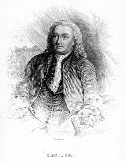 Albrecht von Haller, medico e scienziato svizzero da Unbekannt