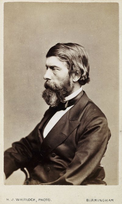 Alexander William Williamson, chimico scozzese, c 1865 da Unbekannt