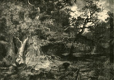 Una vecchia foresta tedesca, 1890 da Unbekannt