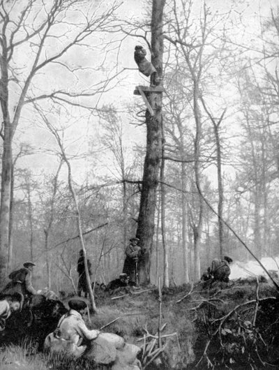 Un punto di osservazione, 1915 da Unbekannt