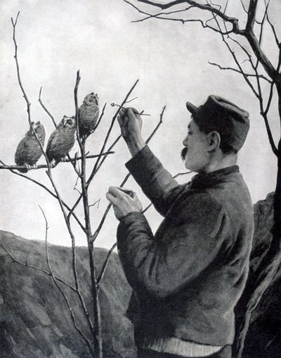 Una decorazione originale della trincea, Francia, Prima Guerra Mondiale, 1915 da Unbekannt