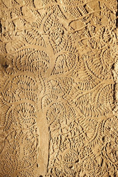 Angkor Wat, dettaglio scolpito sul muro, albero da Unbekannt