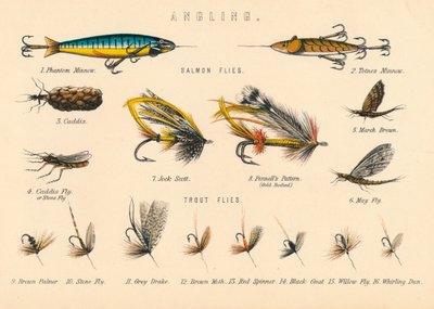 Pesca, XX secolo da Unbekannt