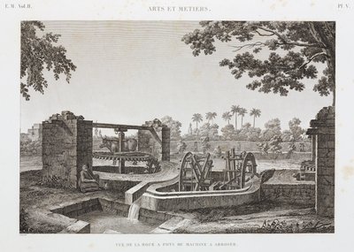 Ruota di Potenza Animale e sistema di irrigazione a secchio, Egitto, c. 1798 da Unbekannt