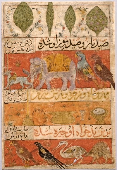 Animali, uccelli e piante verso, illustrazione e versi persiani..., 1341 da Unbekannt