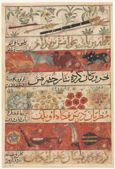 Animali, Pietre Preziose, Monete e Strumenti Musicali recto, Animali, Uccelli e Piante verso da Unbekannt
