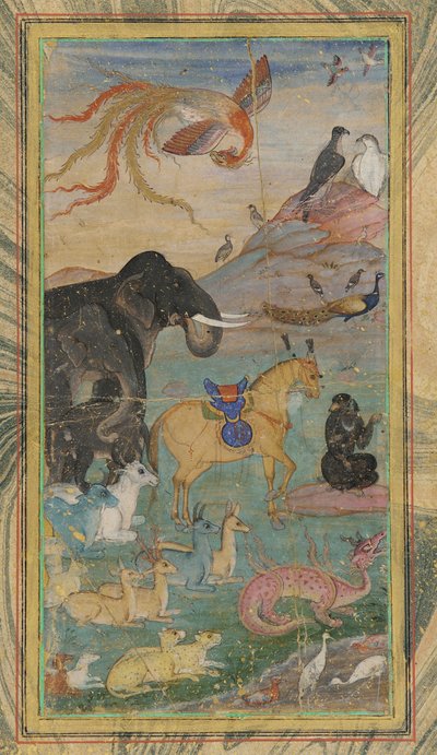 Animali e uccelli, XVII secolo da Unbekannt