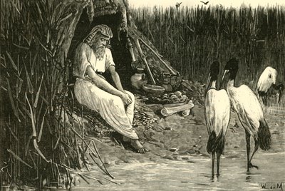 Anysis nascosto nelle paludi del delta, 1890 da Unbekannt
