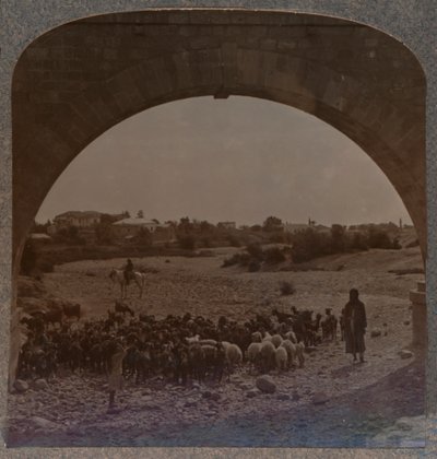 Acquedotto che mostra Gerico attraverso l