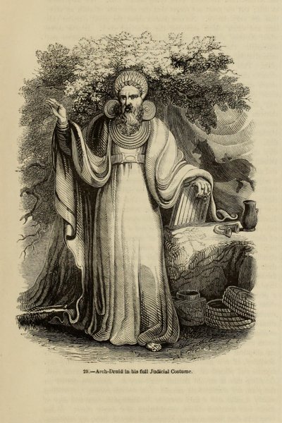 Arcidruido nel suo costume giudiziario completo. Dal libro Old England: A Pictorial Museum, 1845 da Unbekannt