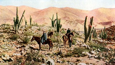 Deserto di Atacama, Cile settentrionale, Sud America, c1923 da Unbekannt