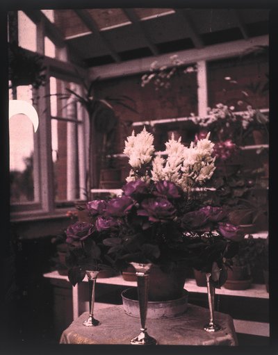Autochrome di rose rosa in un vaso d