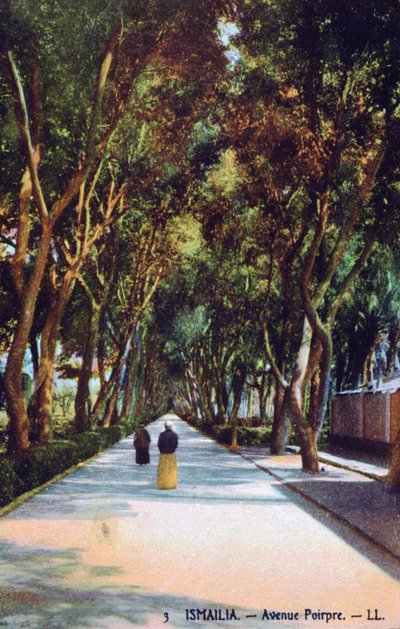 Avenue Poirpre, Ismailia, Egitto, c. 1900 da Unbekannt