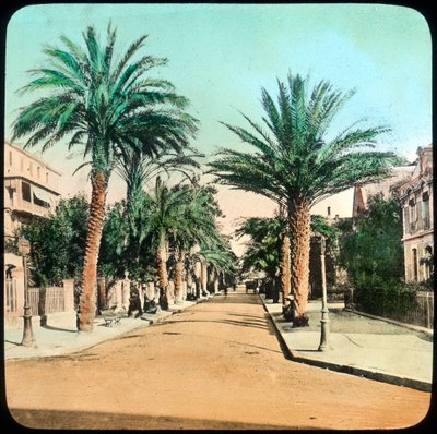 Viale delle Palme, Hyeres, Francia da Unbekannt